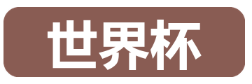 世界杯